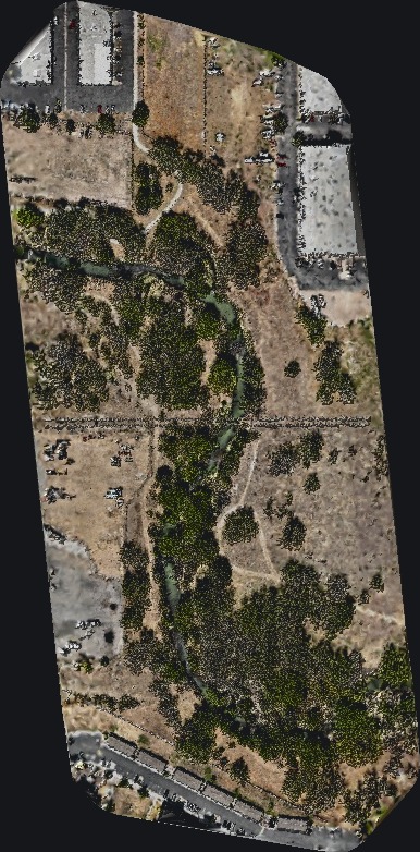 Vanguard RGB orthomosaic of Kings Crossing Natural Area, showing creek, trees, and trail